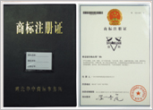 Trademark registration certificate