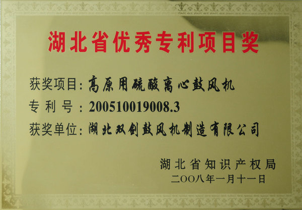 Excellent Patent Project Award of Hubei Province